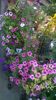 WP_20160723_053