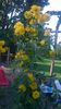 WP_20160723_059