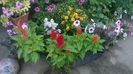 WP_20160723_062