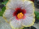 008