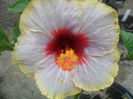019