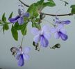 IMG_20160724_121347