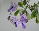 IMG_20160724_121455