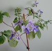 IMG_20160724_121540