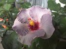 WIN_20160724_115540