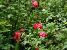 DSCN2973