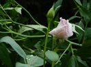 DSCN2982