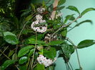 DSCN3012