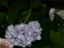 DSCN3014
