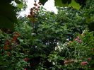 DSCN3023