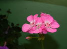 DSCN3027