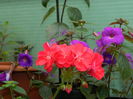 DSCN3035