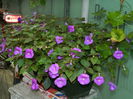 DSCN3041