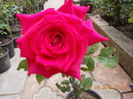 DSCN2249