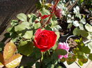 DSCN2282