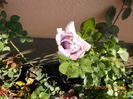 DSCN2283