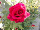 DSCN2287