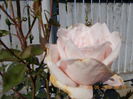 DSCN2292