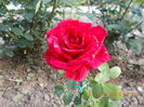 DSCN2301