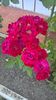 WP_20160724_17_14_25_Pro