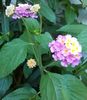 IMG_20160723_224225