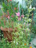 DSCN5690