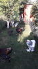 20160724_183351