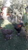 20160724_183138