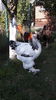 20160724_182424