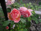 Jubilee Celebration
