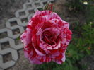 Deep Impression