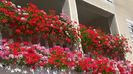 WP_20160724_15_20_13_Pro