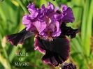 made_of_magic