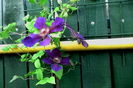 IMG_20160725_073003