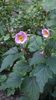 WP_20160722_082