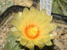 DSCN7731