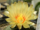 DSCN7734
