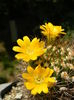 DSCN7757