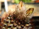 DSCN7765