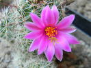 DSCN7787