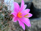DSCN7791