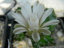 DSCN7795
