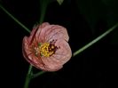 20160725_011426