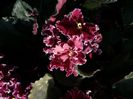 20160724_175149