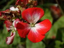 DSC09544