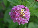 DSC09205