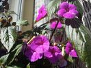 20160721_172129