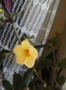 20160721_172456