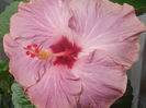 DSCN1114