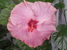 DSCN1116